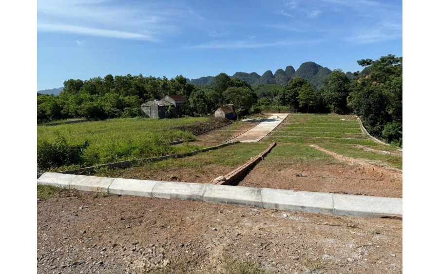  ĐẦU TƯ ĐẤT NỀN – SINH LỜI NGAY! 