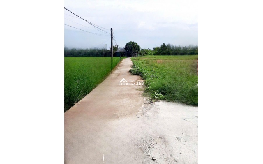  ĐẤT THỔ CƯ TÂN TRỤ-150m2 – XÂY DỰNG TỰ DO [299 TRIỆU] 