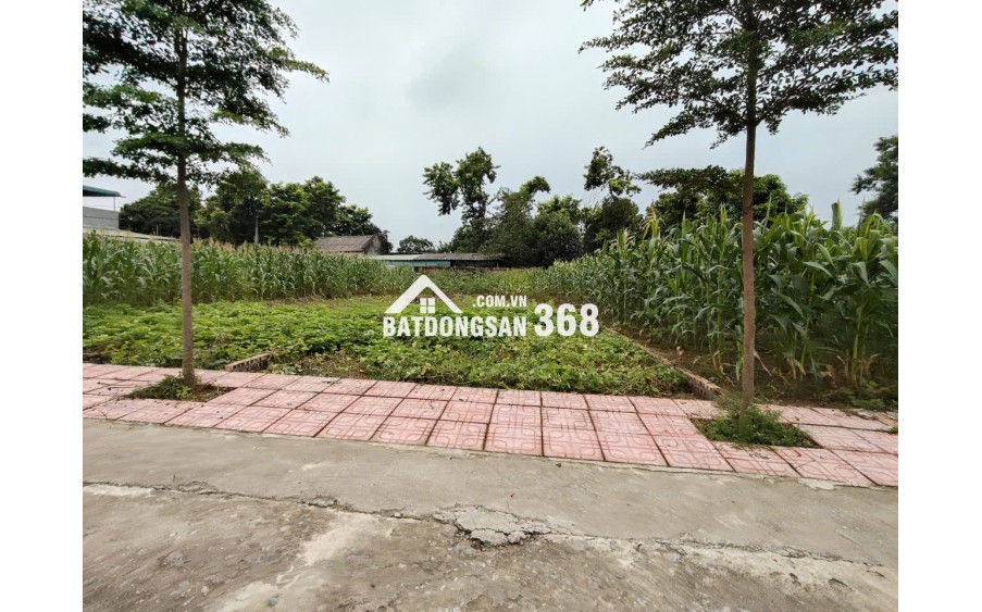 Chính Chủ Gửi Bán 144 m 50 thổ cư  chỉ 1, x tỷ 
Nhuận Trạch Lương Sơn -HB (PHÚ THỌ MỚI)