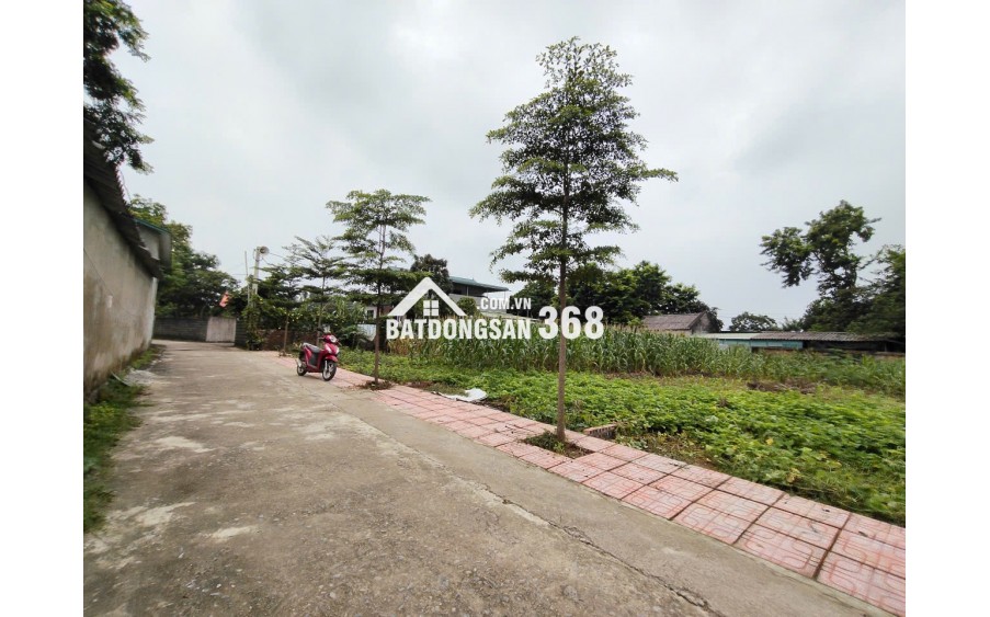 Chính Chủ Gửi Bán 144 m 50 thổ cư  chỉ 1, x tỷ 
Nhuận Trạch Lương Sơn -HB (PHÚ THỌ MỚI)