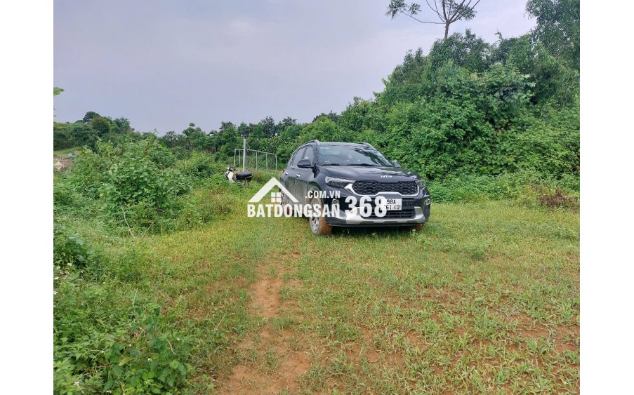 CHÍNH CHỦ CẦN BÁN  2,5 ha ĐẤT BÁM SUỐI VIEW SIÊU ĐEP TẠI LƯƠNG SƠN – PHÚ THỌ