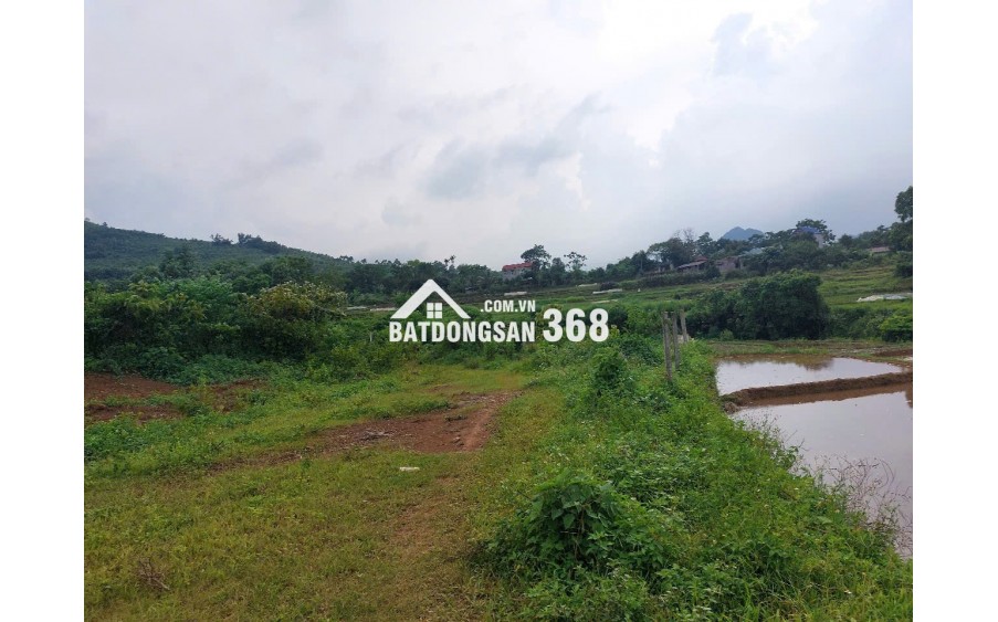 CHÍNH CHỦ CẦN BÁN  2,5 ha ĐẤT BÁM SUỐI VIEW SIÊU ĐEP TẠI LƯƠNG SƠN – PHÚ THỌ