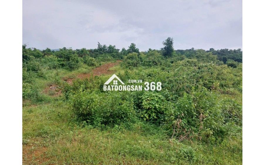 CHÍNH CHỦ CẦN BÁN  2,5 ha ĐẤT BÁM SUỐI VIEW SIÊU ĐEP TẠI LƯƠNG SƠN – PHÚ THỌ