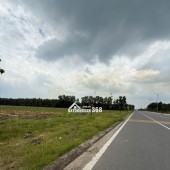 Bán đất mặt tiền Nguyễn Hữu Cảnh Nhơn Trạch Đồng Nai khu hành chính