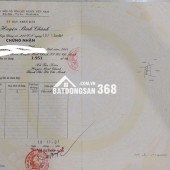 Cần Bán 2950m2 đất trồng cây lâu năm ở ấp 23 Tân Nhựt Bình Chánh