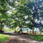  BÁN LÔ ĐẤT THỔ CƯ QL50 CẦN ĐƯỚC- LONG AN GIÁ 980TRIỆU- 80M2