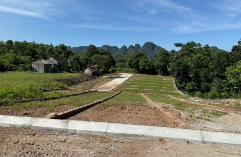  ĐẦU TƯ ĐẤT NỀN – SINH LỜI NGAY! 