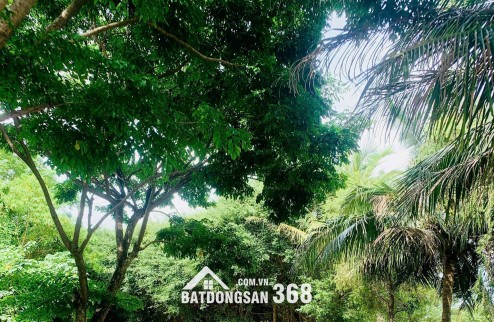  SỞ HỮU NGAY BIỆT THỰ BT10 – MẶT TIỀN SIÊU KHỦNG 14,6M 