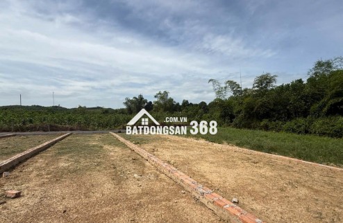 SỞ HỮU ĐẤT ĐẸP, GIÁ RẺ – TRUNG TÂM AN BÌNH, Tiềm Năng Tăng Giá Cao!
