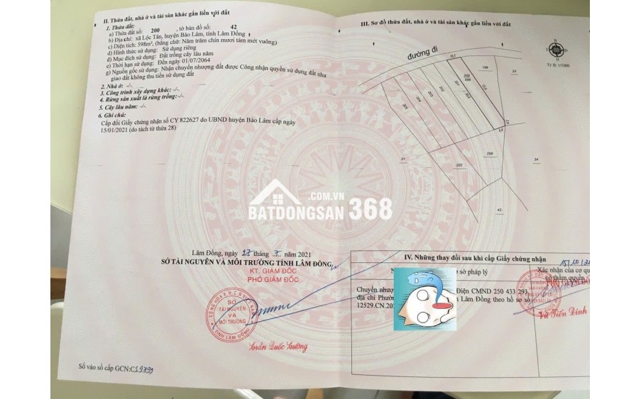 ĐẤT VIEW HỒ NGỌC –  598M2 FULL HỒNG