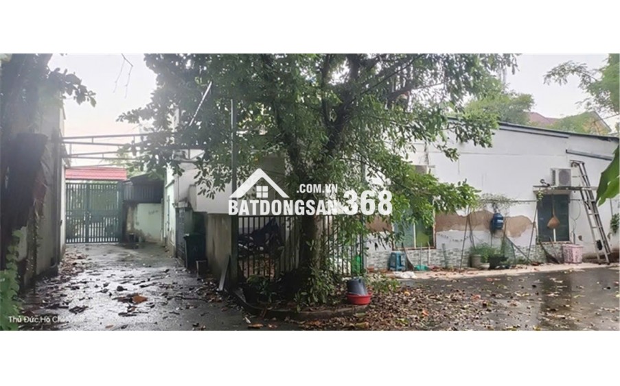 Bán nhà vườn 701m2 vuông vức siêu đẹp ở KDC Hiệp Bình Chánh Thủ Đức