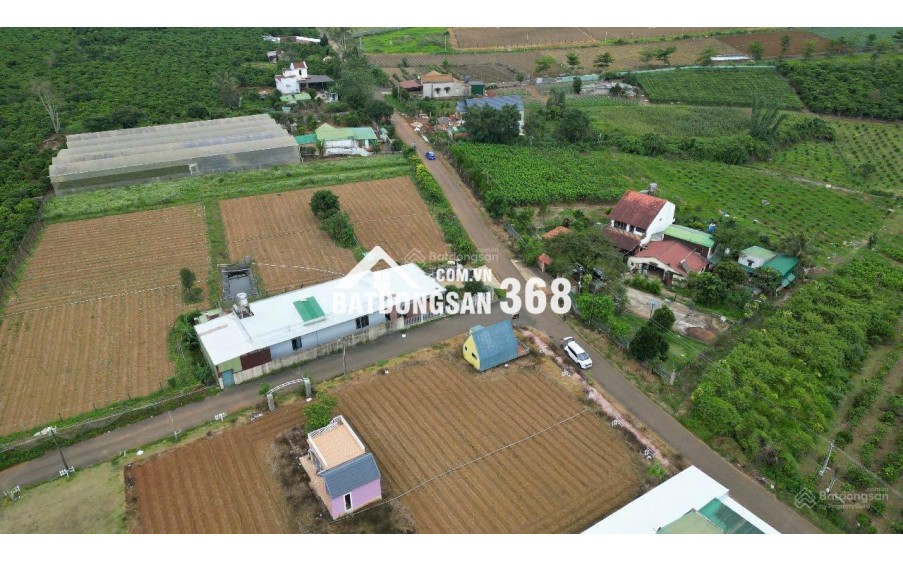 BÁN LÔ ĐẤT PHƯỜNG 2 BẢO LỘC GẦN NGÃ NĂM ĐAMBRI (NHÁNH KHÚC THỪA DỤ)