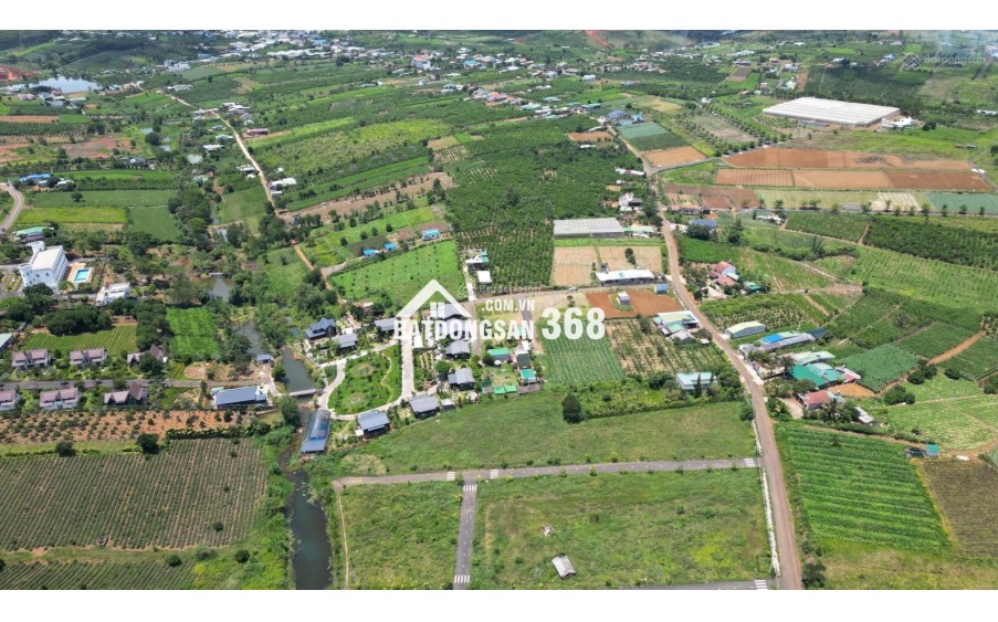 BÁN LÔ ĐẤT PHƯỜNG 2 BẢO LỘC GẦN NGÃ NĂM ĐAMBRI (NHÁNH KHÚC THỪA DỤ)