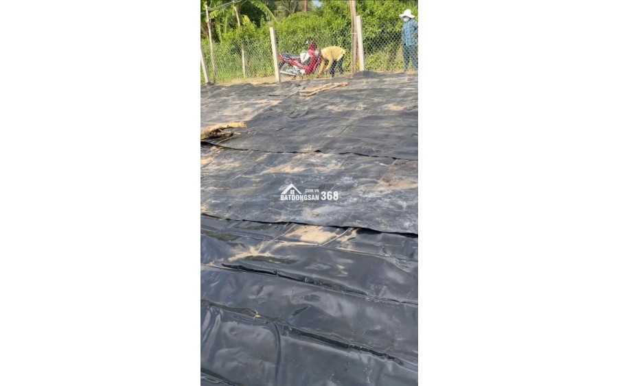 LÔ ĐẤT ĐẸP SỔ HỒNG RIÊNG TRUNG TÂM XÃ BÌNH KHÁNH,HCM