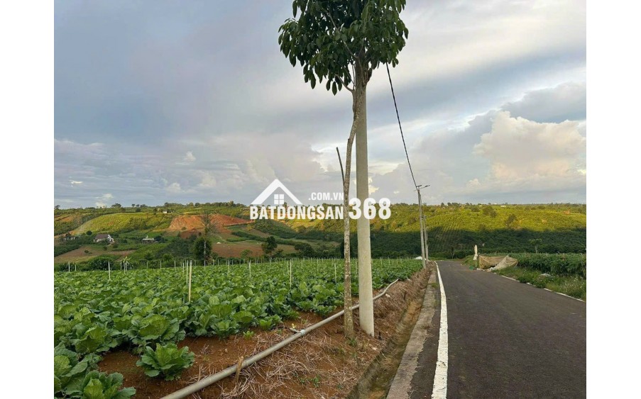 [HOT] Duy nhất còn 1 lô tại NaLi Chill - Homestay and BBQ giá bán chỉ 850TR