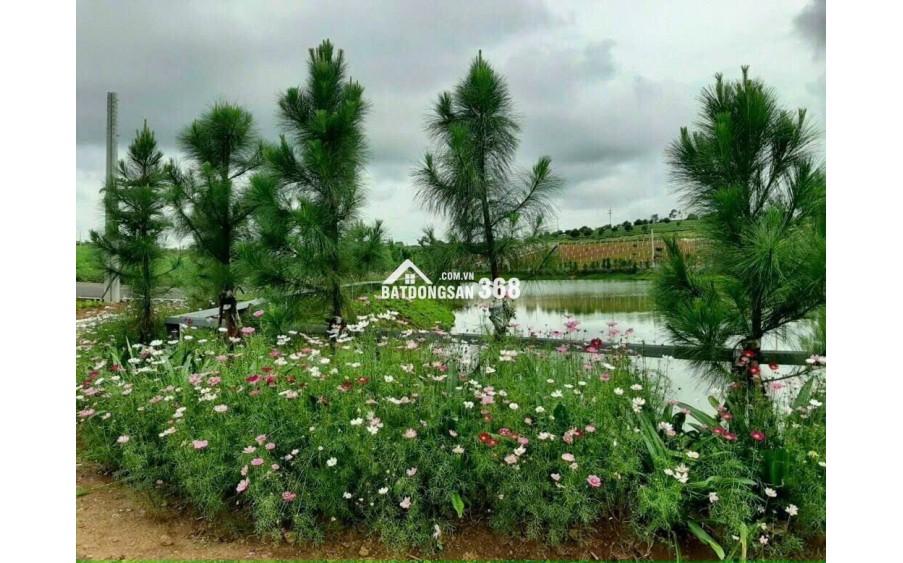 BÁN ĐẤT NẰM TRONG KHU NGHỈ DƯỠNG GẦN HỒ TÂM CHÂU