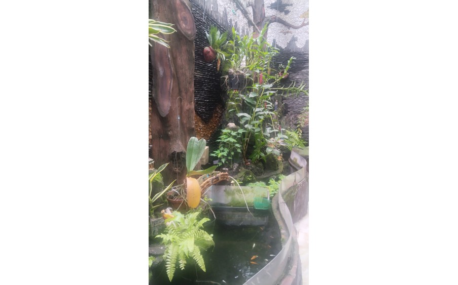 BÁN NHÀ MẶT TIỀN VIEW SÔNG KDC TÂN PHONG QUẬN 7 – SIÊU PHẨM KINH DOANH, 5 TẦNG ĐÚC BTCT