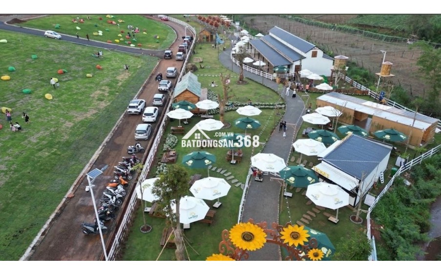 BÁN ĐẤT ĐẸP SUN VALLEY – TRUNG TÂM TP. BẢO LỘC – SỔ ĐỎ RIÊNG