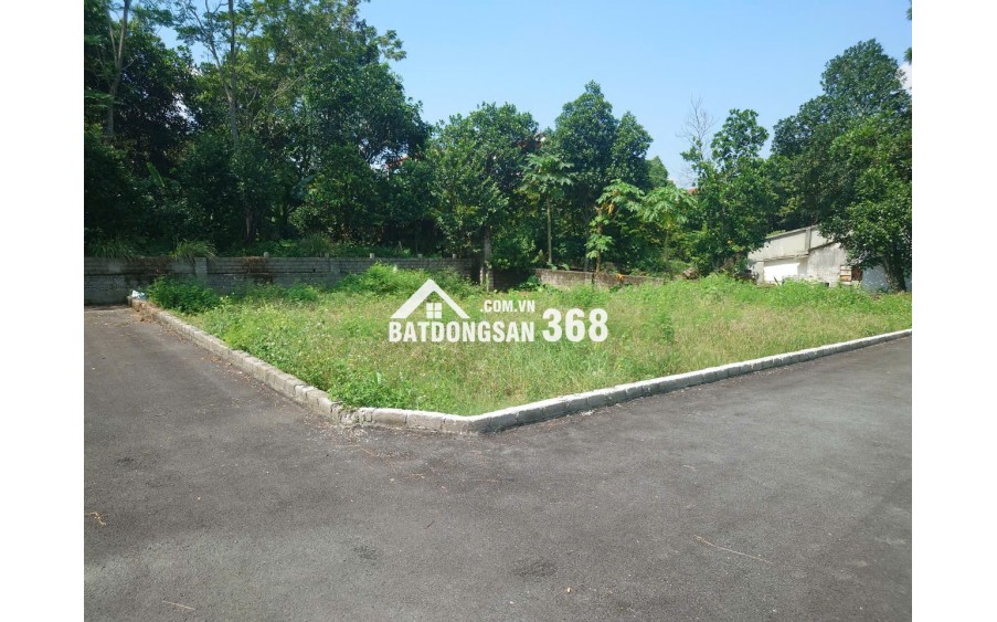 Chủ định cư NN bán gấp đất tại Xuân Khanh, Sơn tây 110m2 MT 7m, giá rẻ mua ngay có lãi liền tay.