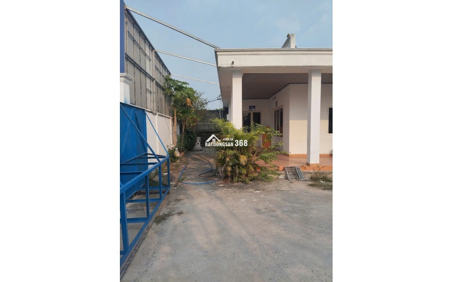Bán xưởng DN Factory mặt tiền Phùng Thị Liếu, Củ Chi – 1.650m² đất thổ + cây lâu năm, giá chỉ 15.5 tỷ (có thương lượng)