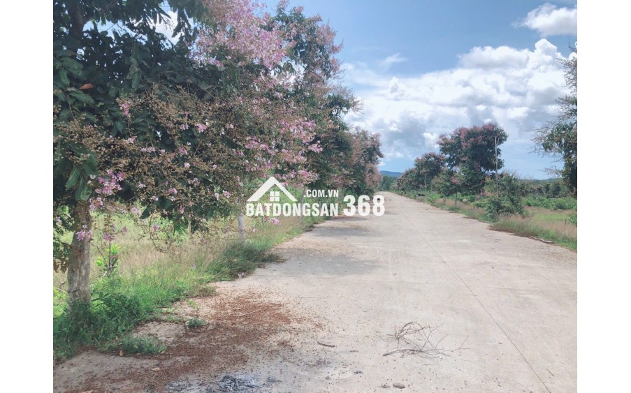 Bán đất tại Ba Trại, ấp Khu Tượng, Cửa Dương, Phú Quốc, Kiên Giang