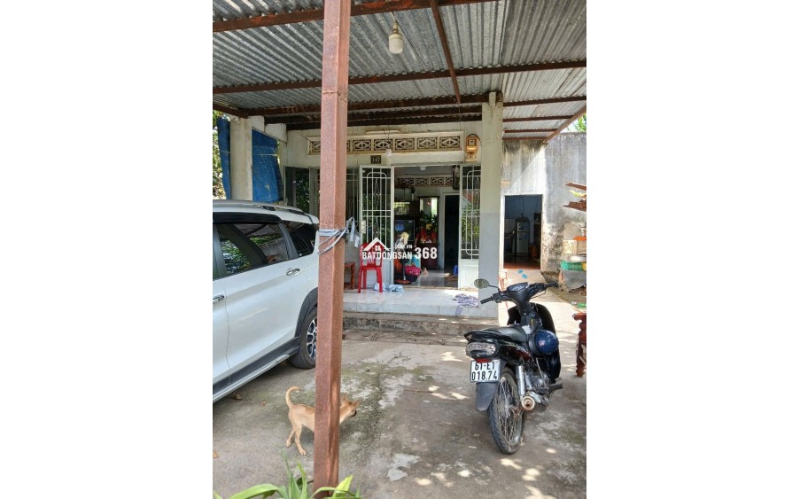 Bán Đất thổ cư chính chủ tại Bắc Tân Uyên – Tân Thành,TP.HCM
