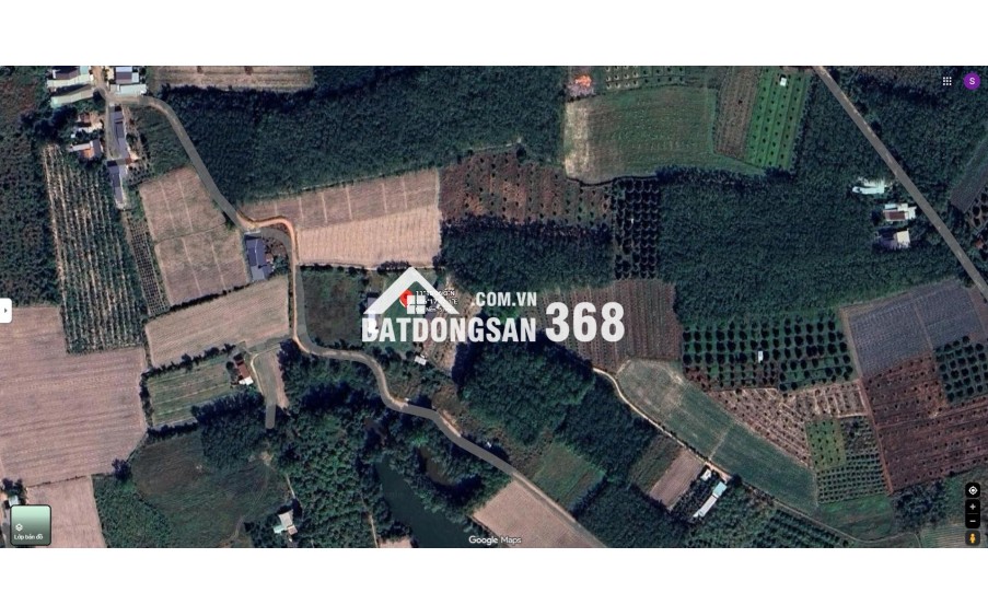 BÁN ĐẤT NỀN GIÁ RẺ –200TR TRUNG TÂM XÃ BẦU ĐỒN, GÒ DẦU, TÂY NINH