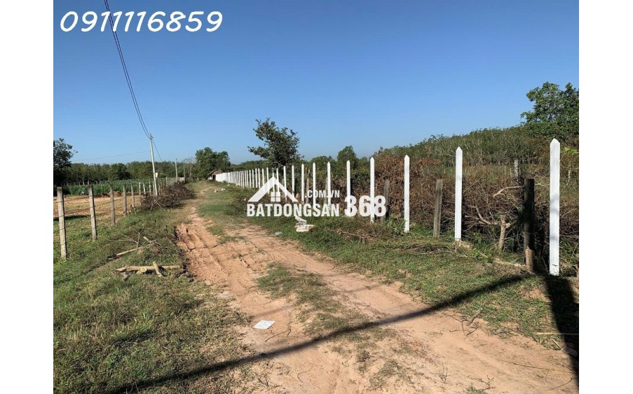 Cần bán 1.8ha Đất MT Nguyễn Thị Rành Củ Chi 79 tỷ.