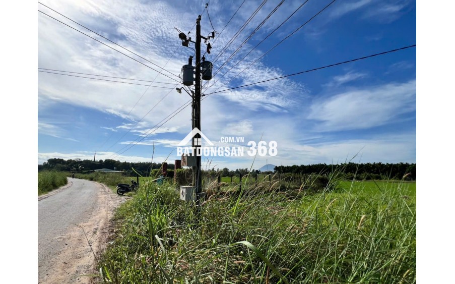 Đất Chính Chủ - Đầu Tư Sinh Lời -Cần Bán Lô Đất Vị Trí Đẹp Tại Ấp Thạnh Nghĩa, Xã Tân Châu, Tây Ninh