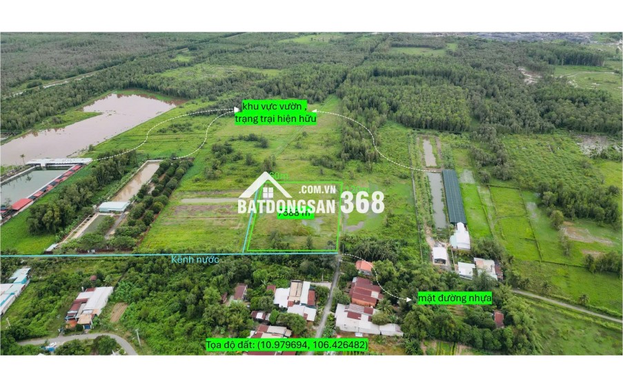 Chính chủ bán đất vườn xã Thái Mỹ, Củ Chi - Tiềm năng sinh lời cao