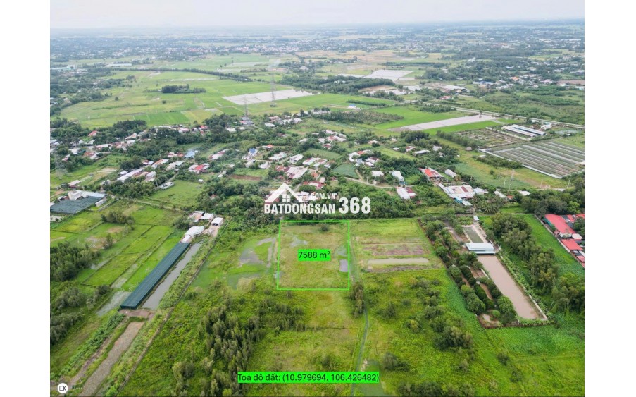 Chính chủ bán đất vườn xã Thái Mỹ, Củ Chi - Tiềm năng sinh lời cao