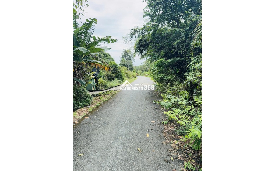 Chính chủ bán đất vườn xã Thái Mỹ, Củ Chi - Tiềm năng sinh lời cao