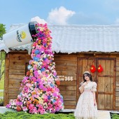 Bán Đất Sun Valley Bảo Lộc Full Thổ Cư