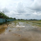 ĐẤT ĐẸP - CHÍNH CHỦ - GIÁ TỐT BÁN NHANH lô đất đẹp tiềm năng đầu tư tại huyện Củ Chi, TPHCM