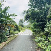 Chính chủ bán đất vườn xã Thái Mỹ, Củ Chi - Tiềm năng sinh lời cao