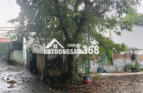 Bán nhà vườn 701m2 vuông vức siêu đẹp ở KDC Hiệp Bình Chánh Thủ Đức