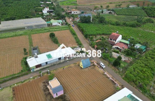 BÁN LÔ ĐẤT PHƯỜNG 2 BẢO LỘC GẦN NGÃ NĂM ĐAMBRI (NHÁNH KHÚC THỪA DỤ)