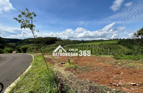 BÁN LÔ ĐẤT NỀN KHU NGHỈ DƯỠNG P2 BẢO LỘC, CÁCH NGÃ 5 ĐAMBRI 6 PHÚT ĐI XE