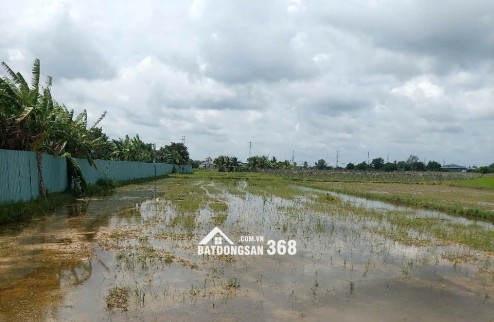 ĐẤT ĐẸP - CHÍNH CHỦ - GIÁ TỐT BÁN NHANH lô đất đẹp tiềm năng đầu tư tại huyện Củ Chi, TPHCM