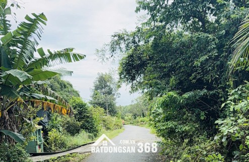 Chính chủ bán đất vườn xã Thái Mỹ, Củ Chi - Tiềm năng sinh lời cao