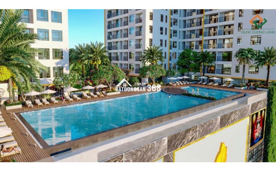 Bán gấp căn hộ Q8, Tạ Quang Bửu, 31m2, 1PN, SHR, 2 tỷ - LH: 0916466446