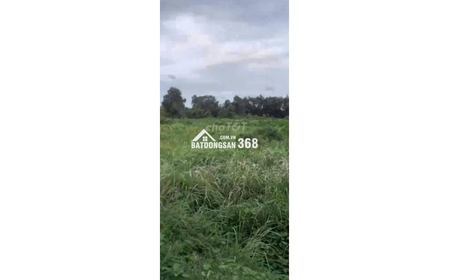 Bán lô đất trồng cây lâu năm (lên được thổ cư) Nhị Bình Hóc Môn