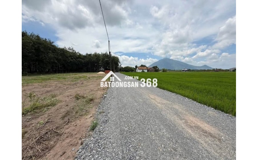 Sống Xanh – Đầu Tư An Toàn Tại Đất Nền Dương Minh Châu, Tây Ninh