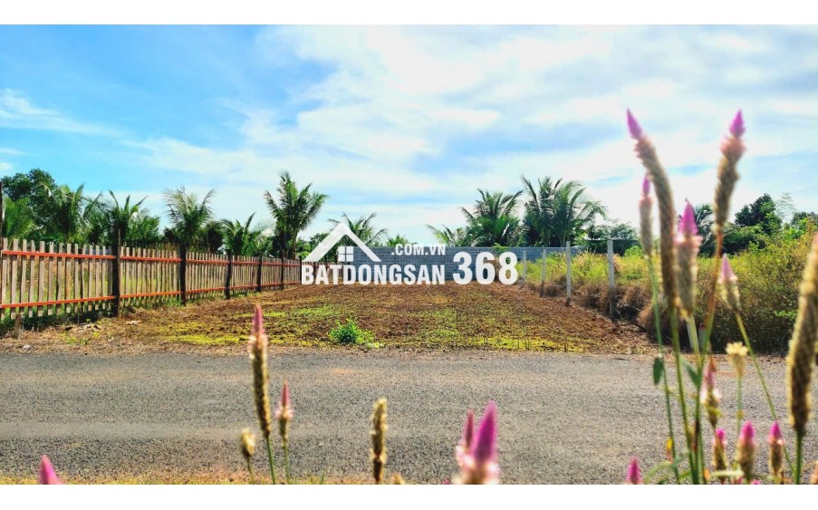 Kẹt tiền Chính Chủ bán gấp đất Xuyên Mộc giá rẻ 344m² Gần Cao Tốc, Giá 2,2 Tỷ Sổ hồng ngay