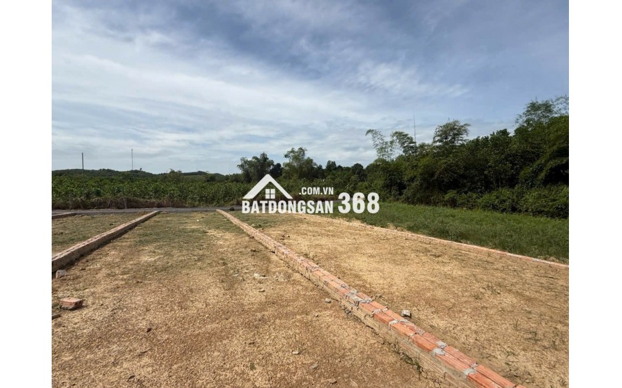  MỞ BÁN GIÁ SỐC – ĐẤT TRUNG TÂM AN BÌNH CHỈ 195 TRIỆU/LÔ