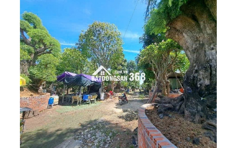 BÁN ĐẤT KHỦNG 2.840M² MẶT TIỀN BÙI CÔNG TRỪNG, NHỊ BÌNH, HÓC MÔN GIÁ ĐẦU TƯ ‼