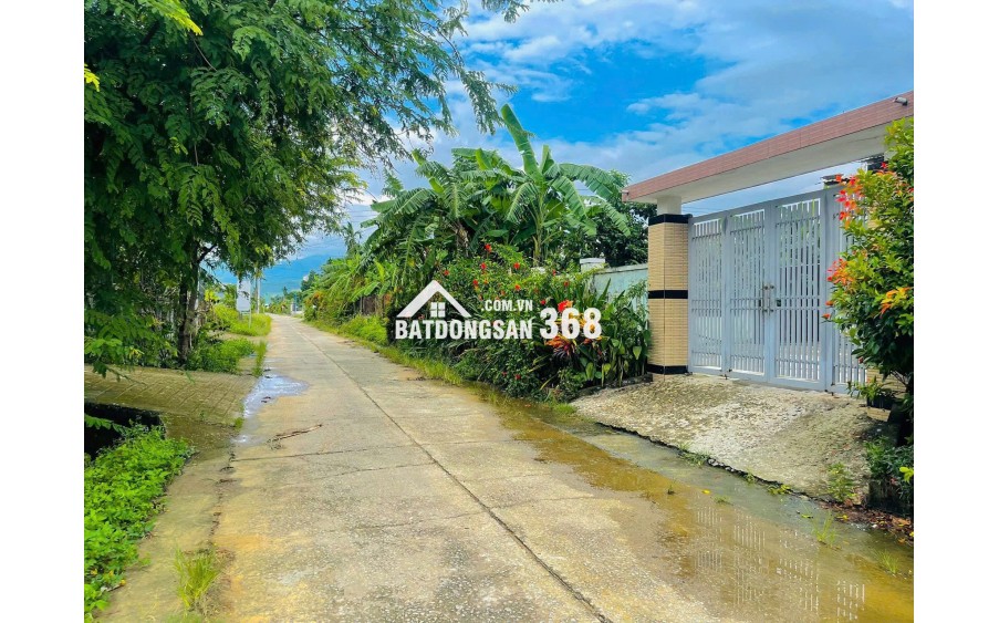  ĐẤT ĐẸP TRỤC CHÍNH ĐẠI HIỆP – GIÁP RANH HOÀ KHƯƠNG, HOÀ VANG 