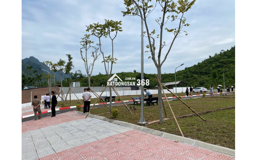 Với 290 triệu bạn sẽ mua được rất nhiều thứ, trong đó có cả bất động sản