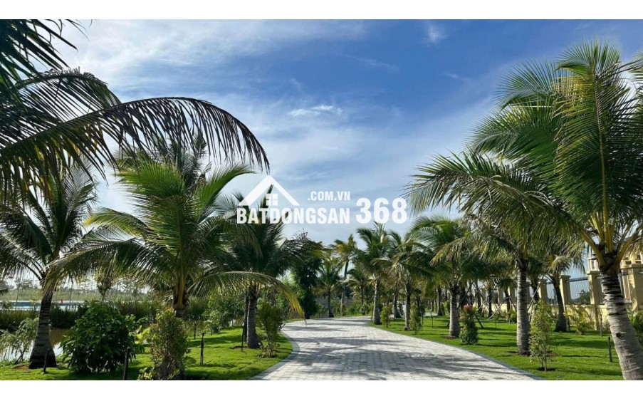 Giữ chỗ khu Mai Vàng Shophouse - Nhà Phố Agora City 6x18, ngay TT Hành Chính hiện hữu: 0938230002