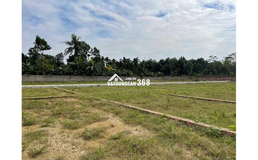 ĐÓN SÓNG TĂNG GIÁ ĐẤT HAMI CAO DƯƠNG – CƠ HỘI X2, X3 MÙA CUỐI NĂM!